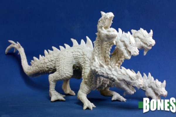 Kraken 24 top