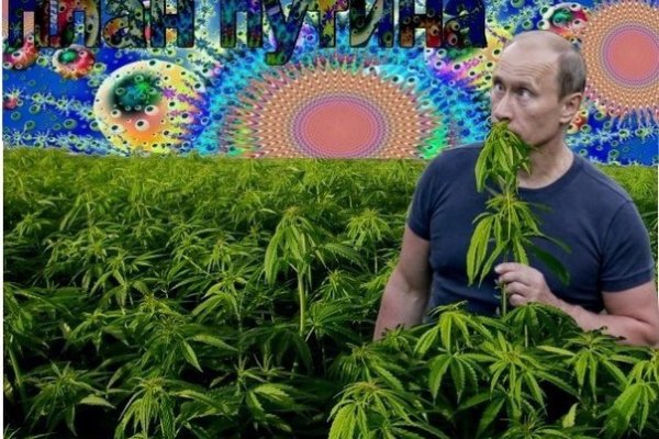 Кракен через обычный браузер