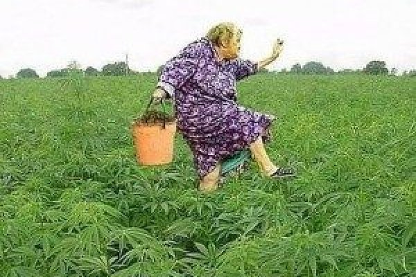 Кракен не работает