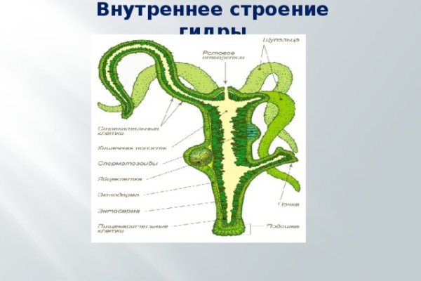 Kra34gl
